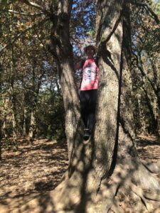 Nathalie Bouvier magnétiseuse perchée dans un arbre lors d'un atelier dans la forêt de brocéliande
