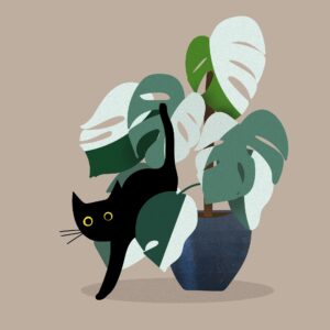 chat plante