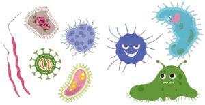 dessins de virus et bactéries